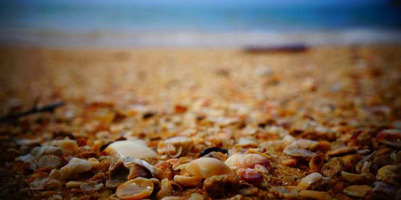 一个人在公园操场上自由奔跑，周围是快乐的孩子