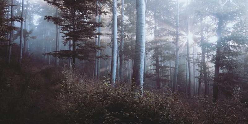 资源地图协作文档界面展示,包含多个模块,如知识库、分享平台、交流论坛等,界面简洁清晰