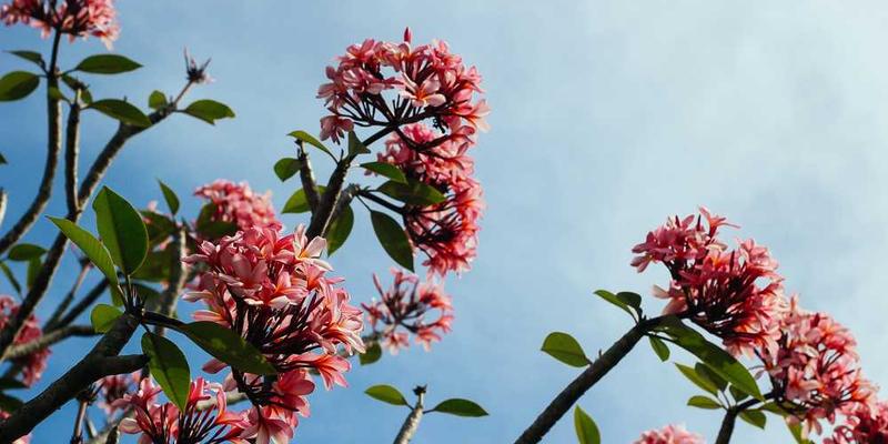 观察夕阳西下时，时间随着光线变得金黄、醇厚如油的“色温粘度关联”