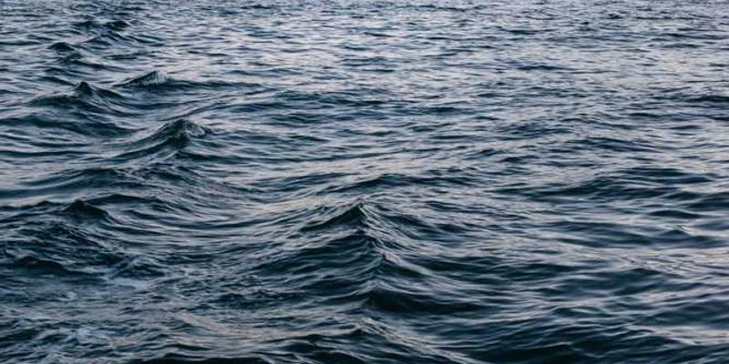 记录一个热门话题，在你的信息圈里从出现、发酵到湮灭的全周期