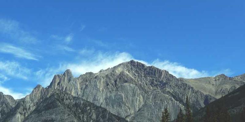 观察冬季窗上冰花的生长脉络，将其比拟为记忆神经元的寒冷投射