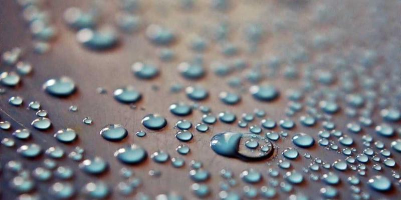 一个香水瓶，瓶身散发出淡淡的香气，背景为一片开阔的草地，象征着自由与成长