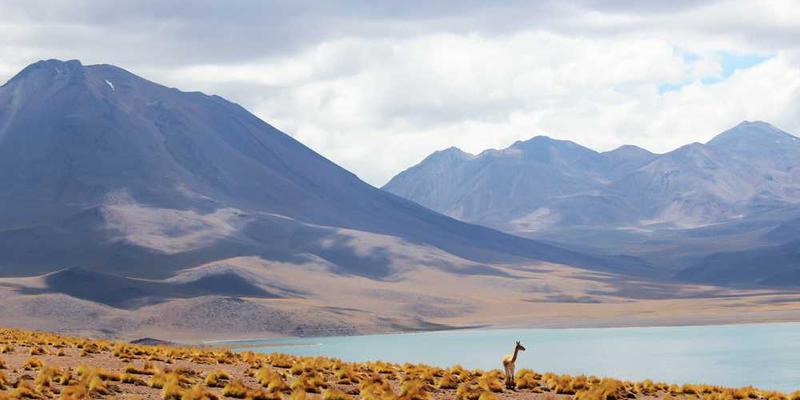 一张描绘夕阳下宁静乡村景象的图画，图中人物或动物正享受日落而作的美好时光，背景为落日余晖映照的大地。