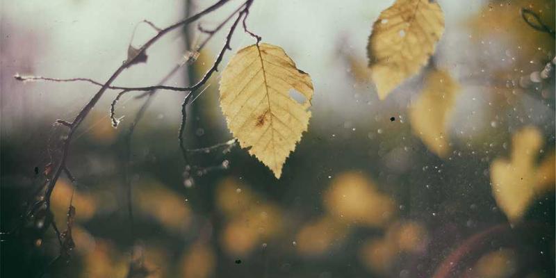 一位年轻人闭上眼睛，手中握着耳机，似乎正在尝试“观看”音乐。背景中，色彩斑斓的画面如同流动的旋律，跃然纸上。