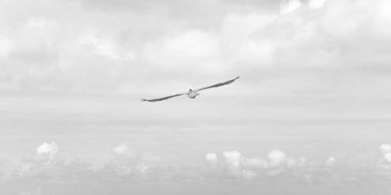 AI的“审美”进化史：从迷恋高对比度到偏好柔和噪点，像极了人类的视觉疲劳。