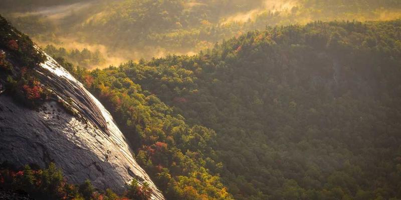 收集不同城市的空气滤芯灰尘，分析其颗粒物中的“集体呼吸祷文”