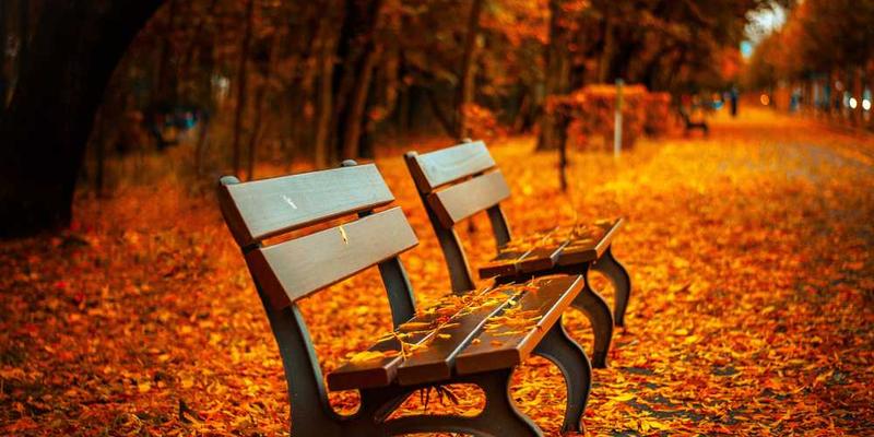 计算观看一场三流电影所花费的两小时，如果用于发呆，其“机会成本”孰高孰低