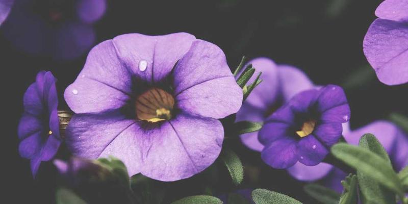 本地化AI部署初探：在自家电脑上运行开源大语言模型