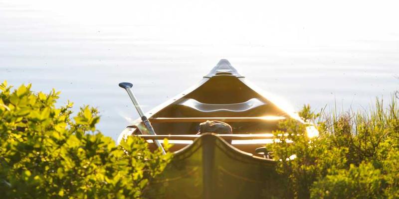 一个现代实验室场景，其中放置着一些高科技仪器和电脑屏幕，背景墙上展示着肠道健康的图表和文字信息