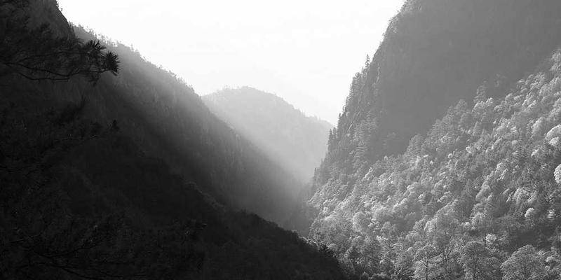 分析一杯烈酒入口后，从舌尖到喉管的灼热感扩散路径与强度衰减曲线