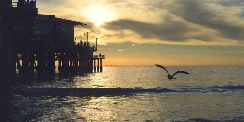 解码手机通知音如何成为现代人的“条件反射触发器”