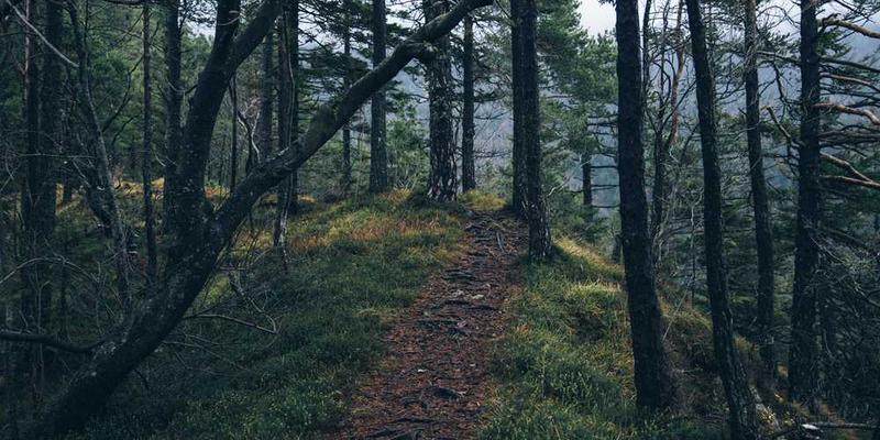 手语歌手在演唱《爱很简单》时，镜头特写其手势的优雅和情感的传达。说明：手势的优雅和情感的传达让手语“演唱”成为一种独特的艺术形式。