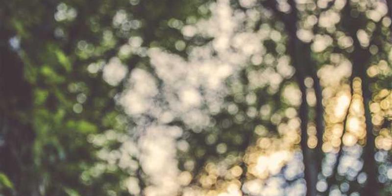 将我的暗恋情绪封装进一个漂流瓶，设定五十年后自动开封的密码