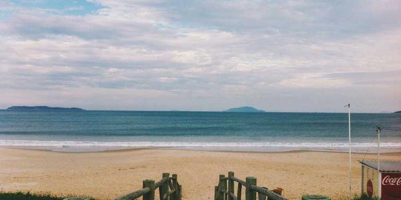 一碗煮熟的米粒，搭配菜肴，色彩丰富，香气扑鼻