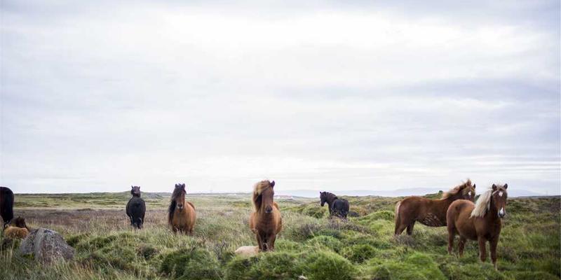 尝试用管理公司项目的方式，管理自己的个人情绪与健康