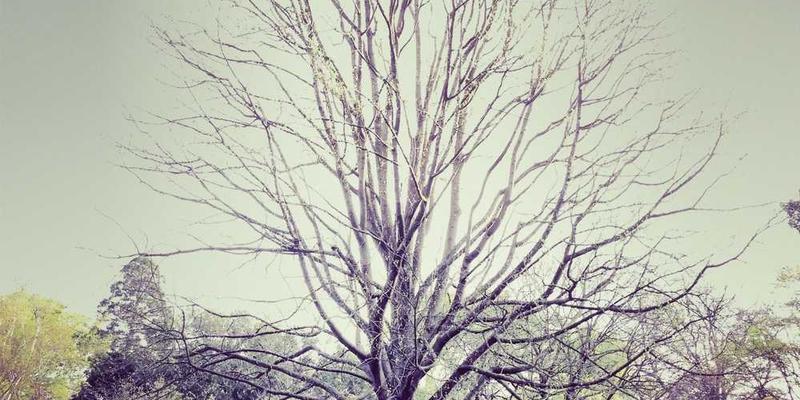 AI匹配社交场景的插图，如两个不同背景的人通过屏幕交流，旁边显示匹配度数据