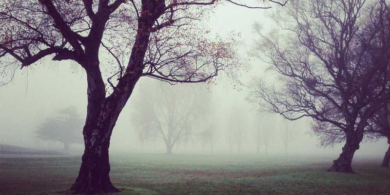 尝试用一系列温度（而非颜色）来描述不同的情感