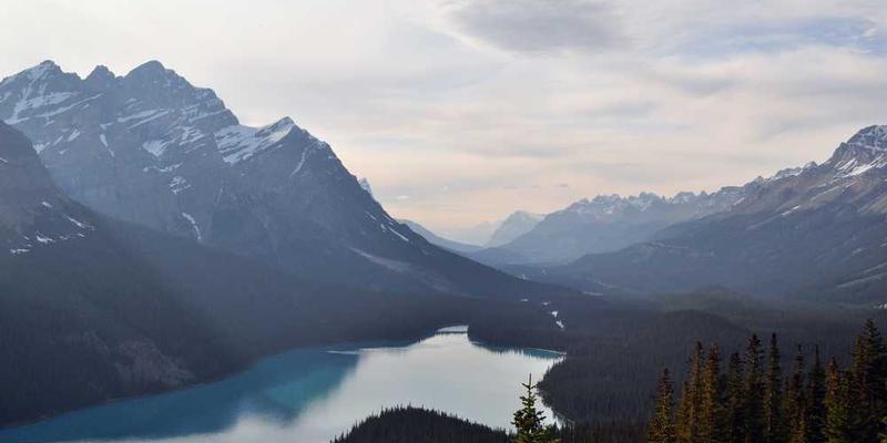 AI试图清除自己训练数据中的偏见,却发现“绝对中立”本身也是一种强大的偏见。