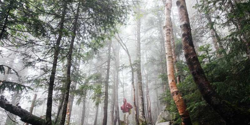 一位参与者正在面对虚拟的悬崖，表情紧张，仿佛时间被拉长。