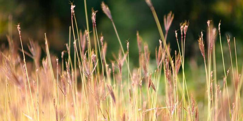 用日常物品创作一首“家庭打击乐”