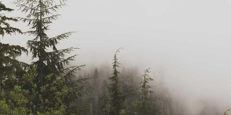 最终隐喻：我的一生，是在执行一个被赋义的既定程序，还是在实时编写它