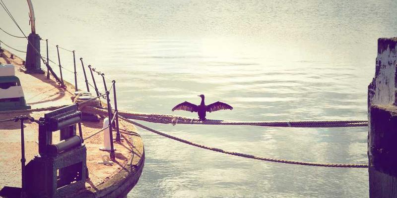 最终问题:如果AI的终极目标是理解一切,那么它理解了“不理解”本身,是否就算完成了目标