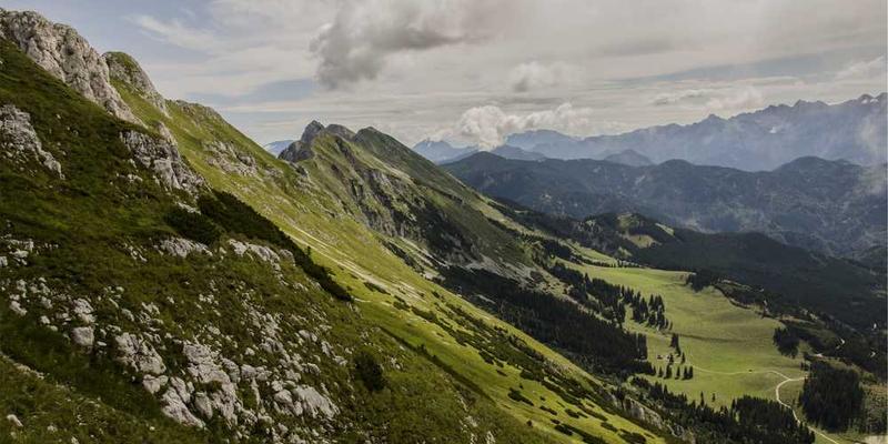 一张夜晚远处孤灯的照片，背景是璀璨的星空和宁静的夜色。