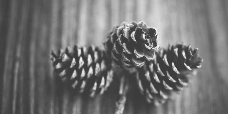 将我的焦虑想象成一个不断打印错误日志的后台进程，如何定位其源头