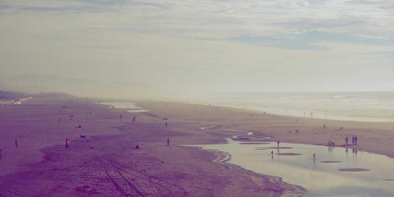 说明：一座老居民楼中的旧窗户，经过精心修复，焕发出新的活力，旁边是繁忙的城市街道。