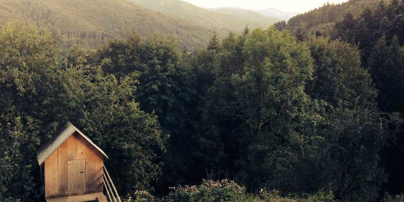 研究“同一个笑话听第二遍就没那么好笑”背后的神经适应性与快乐保鲜期