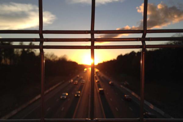 动物救助中心里被救助的斗牛和赛马